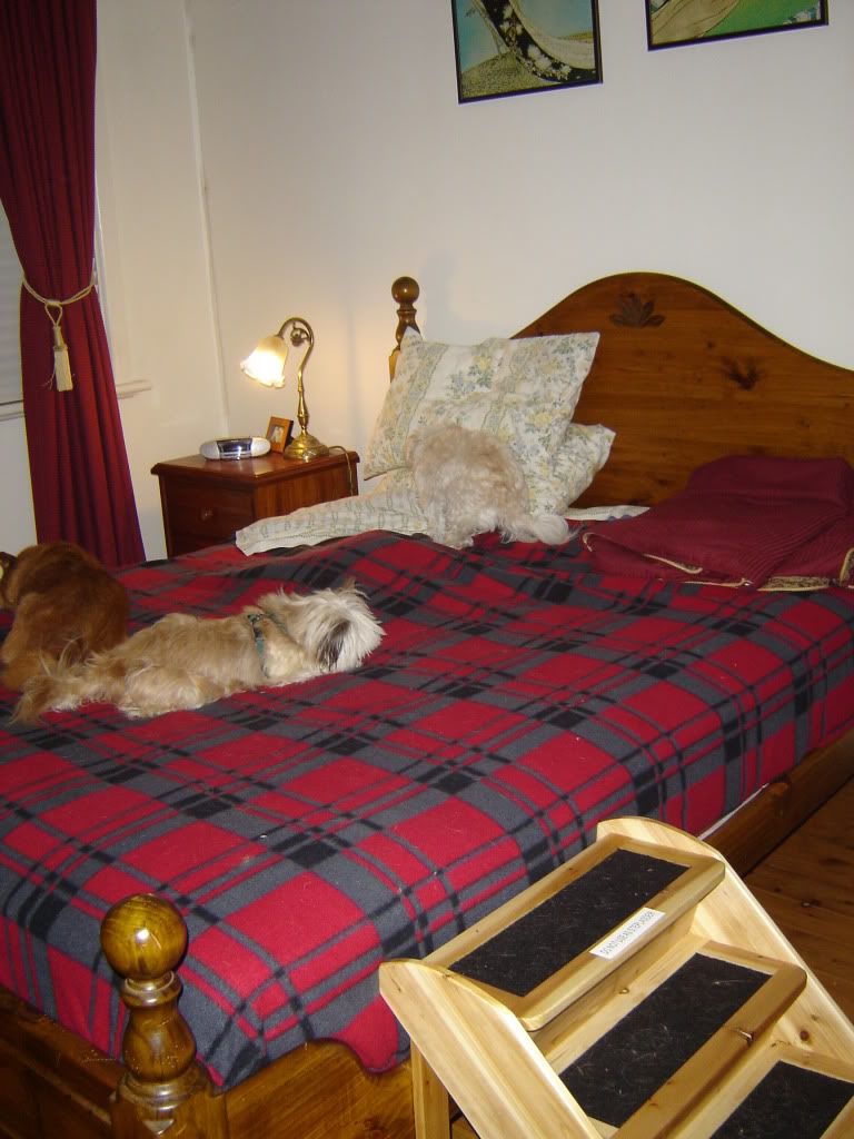 2010Jeuneundertheblankets001.jpg