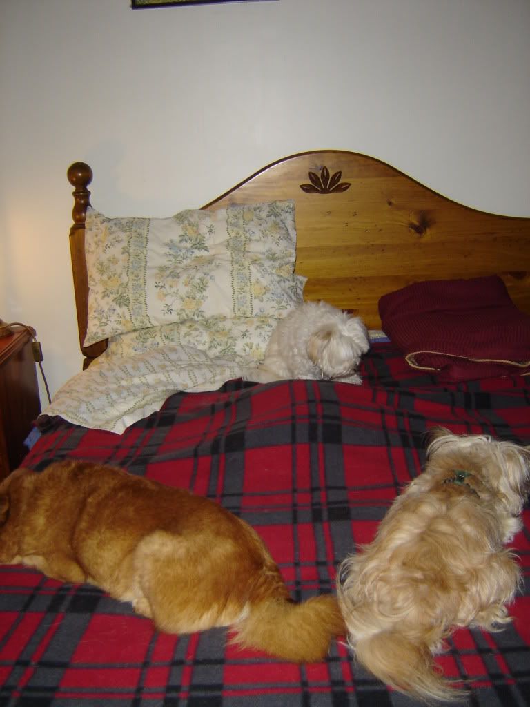 2010Jeuneundertheblankets002.jpg