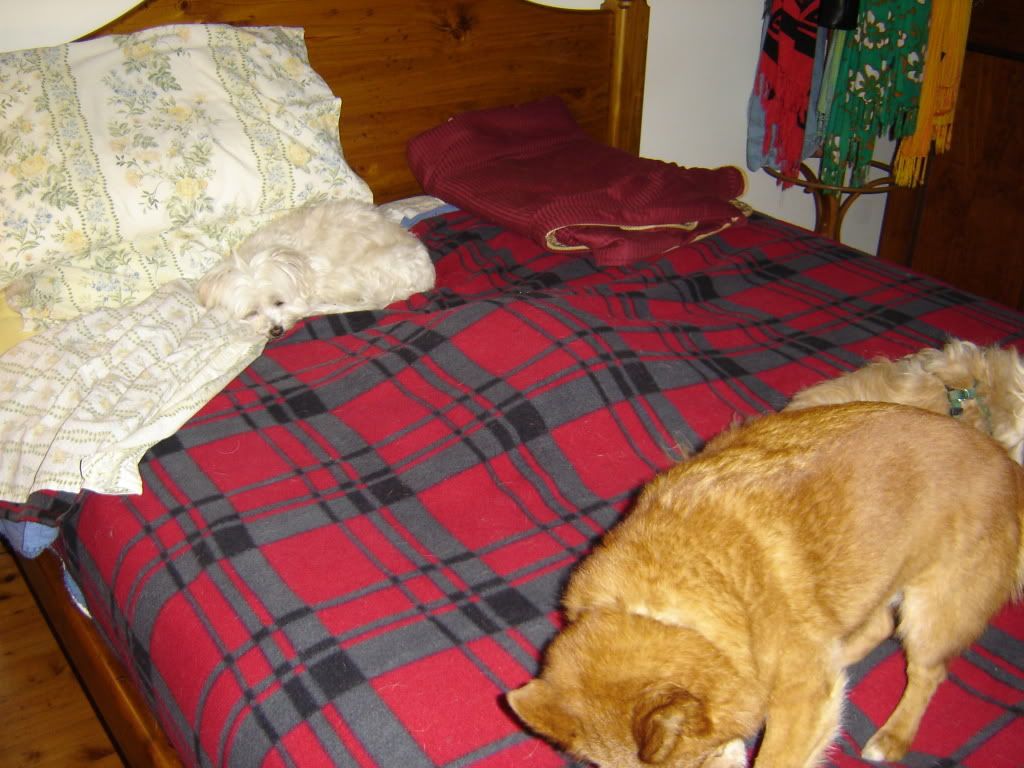 2010Jeuneundertheblankets004.jpg