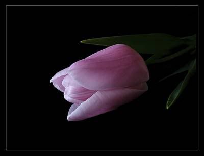 Image loading . . . Please wait awhile...