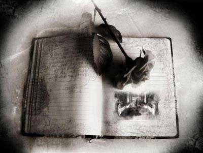 Image loading . . . Please wait awhile...