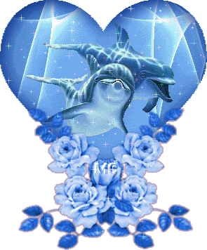 Click here to get hot comments and graphics...