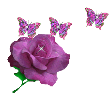 Image loading . . . Please wait awhile...