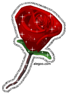 Image loading . . . Please wait awhile...