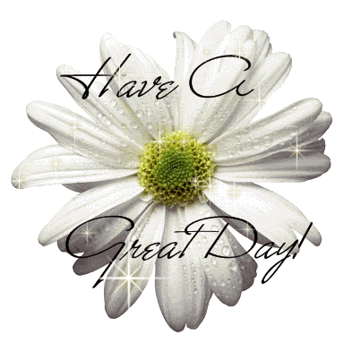 Click here to get hot comments and graphics...
