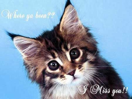 Click here to get hot comments and graphics...