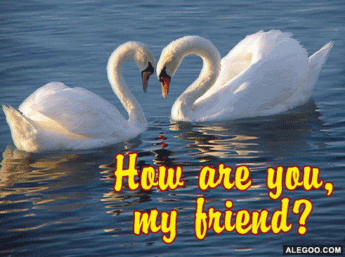 Click here to get hot comments and graphics...