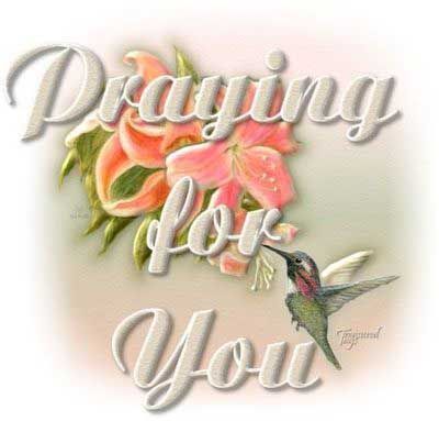 Click here to get hot comments and graphics...