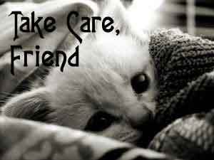 Click here to get hot comments and graphics...