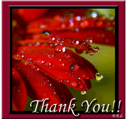 Click here to get hot comments and graphics...
