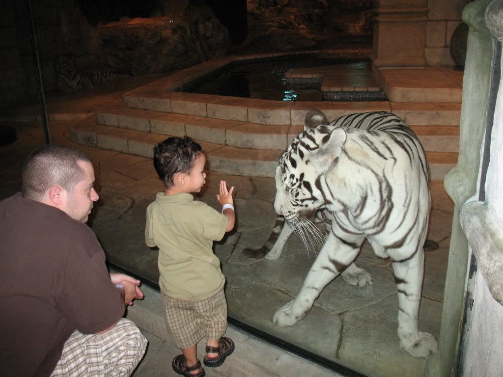 IMAGE: http://i291.photobucket.com/albums/ll295/kd-a/AquariumMay2008046.jpg