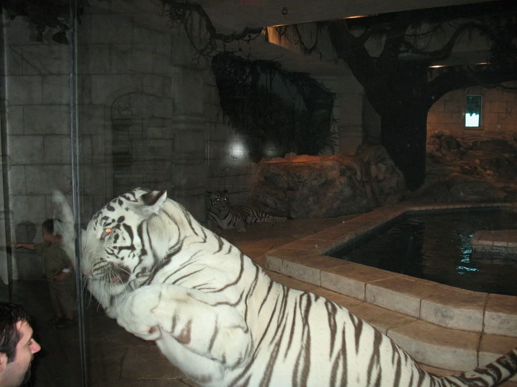 IMAGE: http://i291.photobucket.com/albums/ll295/kd-a/AquariumMay2008047.jpg