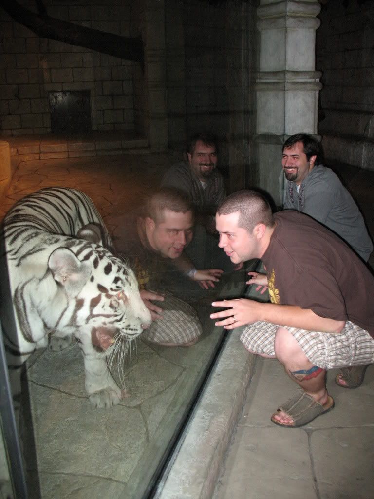 IMAGE: http://i291.photobucket.com/albums/ll295/kd-a/AquariumMay2008053.jpg