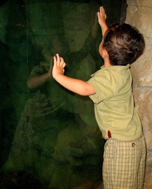 IMAGE: http://i291.photobucket.com/albums/ll295/kd-a/May2008009-1.jpg?t=1212000579