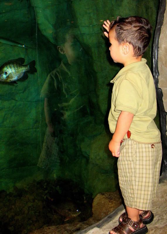 IMAGE: http://i291.photobucket.com/albums/ll295/kd-a/May2008011-1.jpg?t=1212001881