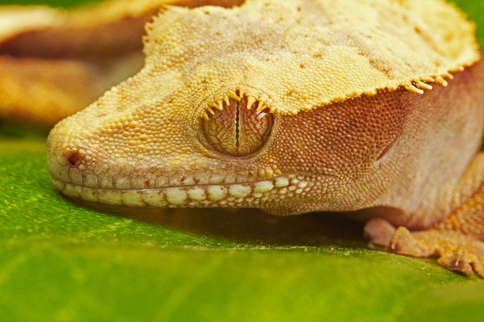 IMAGE: http://i291.photobucket.com/albums/ll297/Lavochkin7/Photography/processed2.jpg?t=1361907597