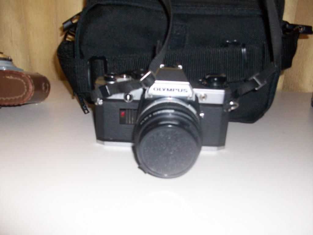 100_5838_zpsc59c700f.jpg