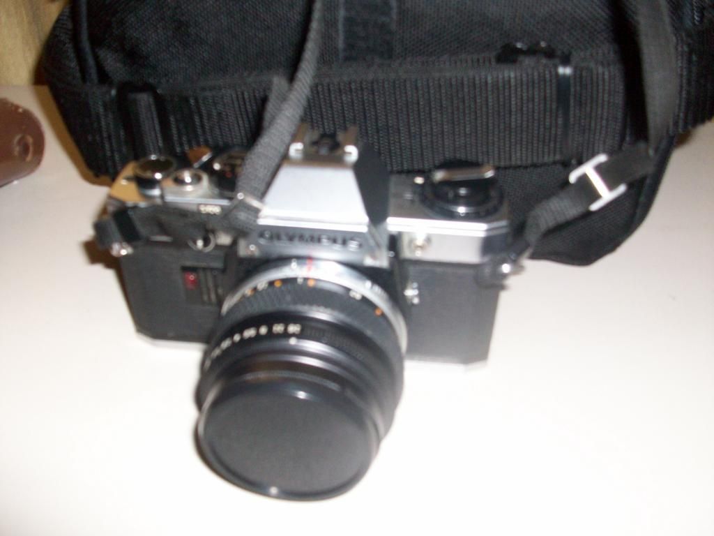 100_5840_zpsd38623ba.jpg