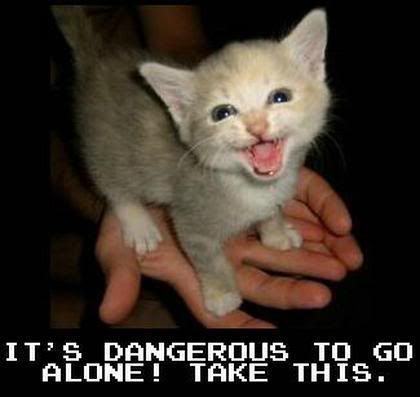 zeldacat.jpg
