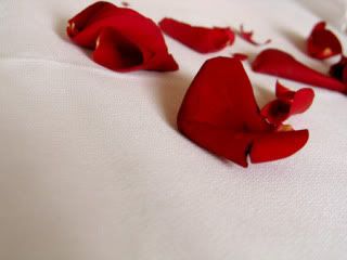 Fallen Rose petals Pictures, Images and Photos