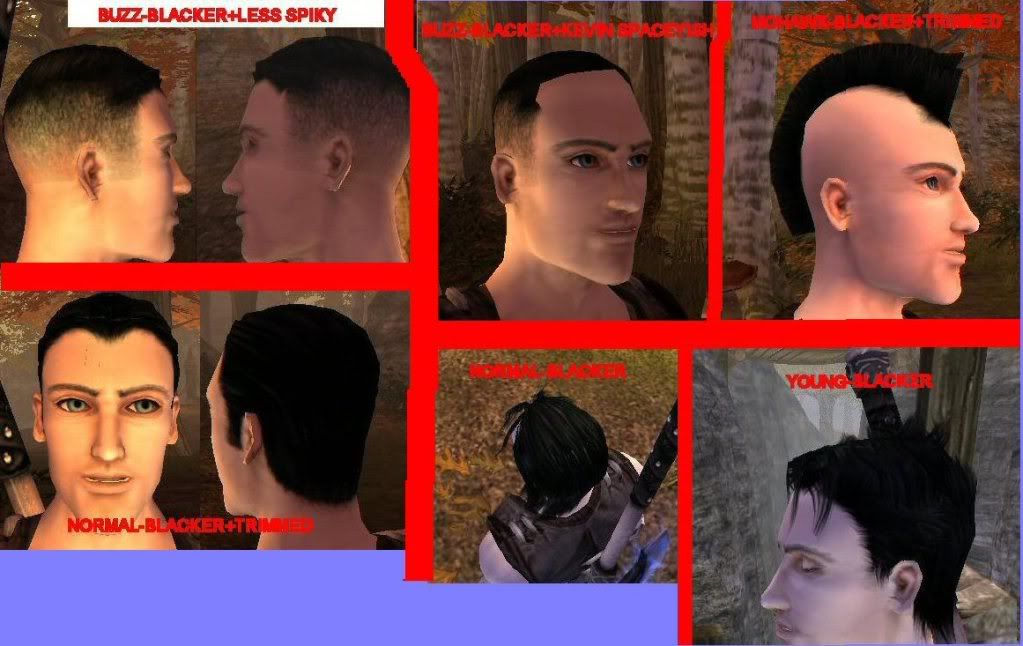 fable 2 hair styles
