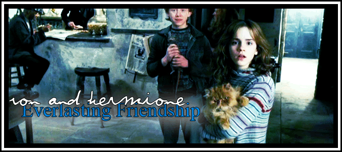 Ron-and-Hermione02-1.gif