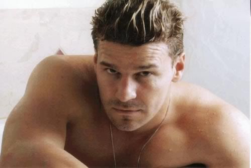 David Boreanaz