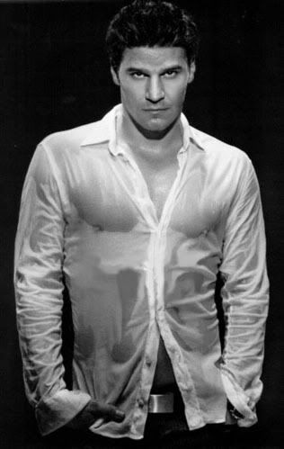 David Boreanaz