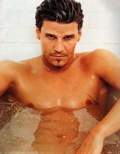 David Boreanaz