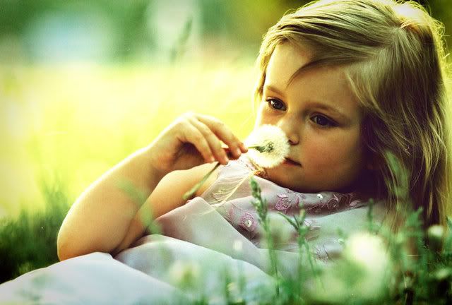 Dandelion  s memories by BigboyDeni