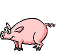 animated pig photo: Dancing Pig dancingpig.gif