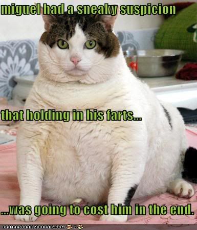 funny fat cat pictures. funny-pictures-fat-cat-holds-