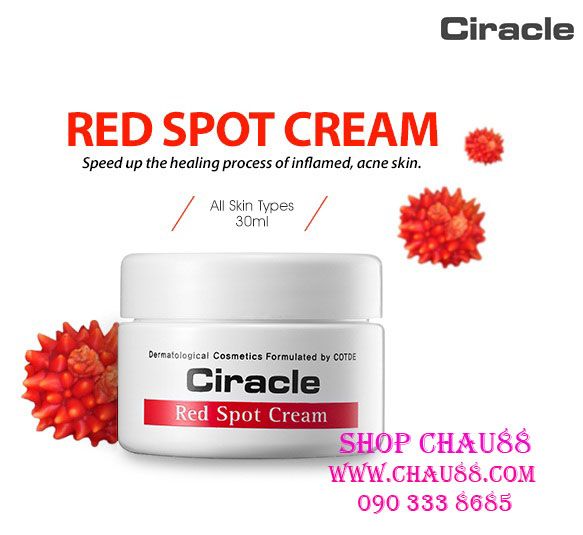 Mỹ Phẩm The Skinfood - Tonymoly - The Face Shop - 5