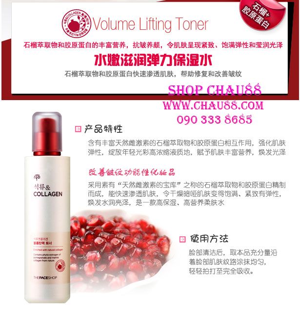 Mỹ Phẩm The Skinfood - Tonymoly - The Face Shop - 10