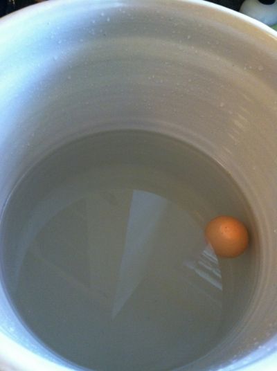 egg floating