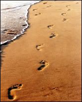 foot prints Pictures, Images and Photos