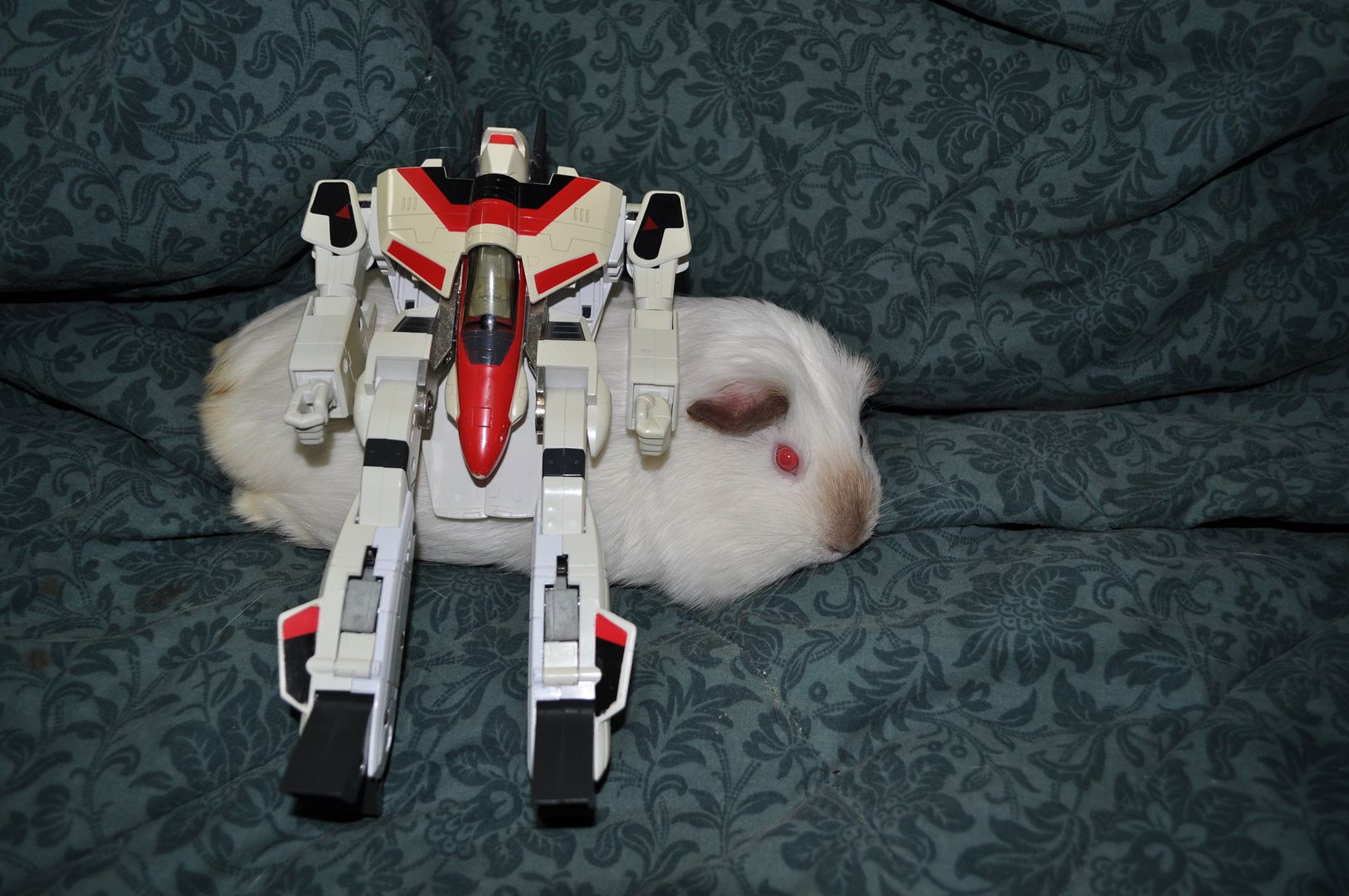 Pic of Old School Macross Toys ONLY - Page 12 - Toys - Macross 