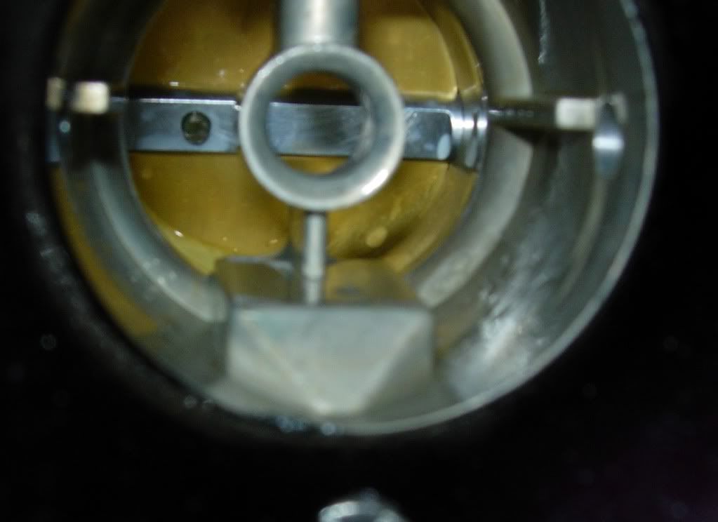 DSCN5047.jpg