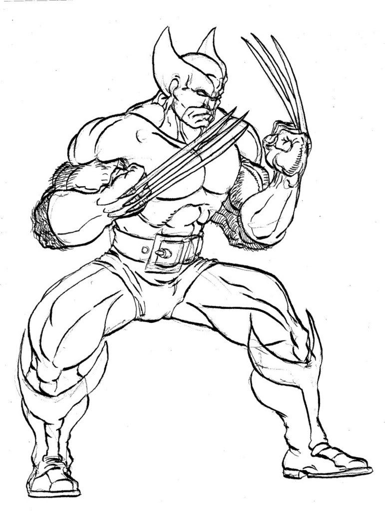 Wolverine Sketches