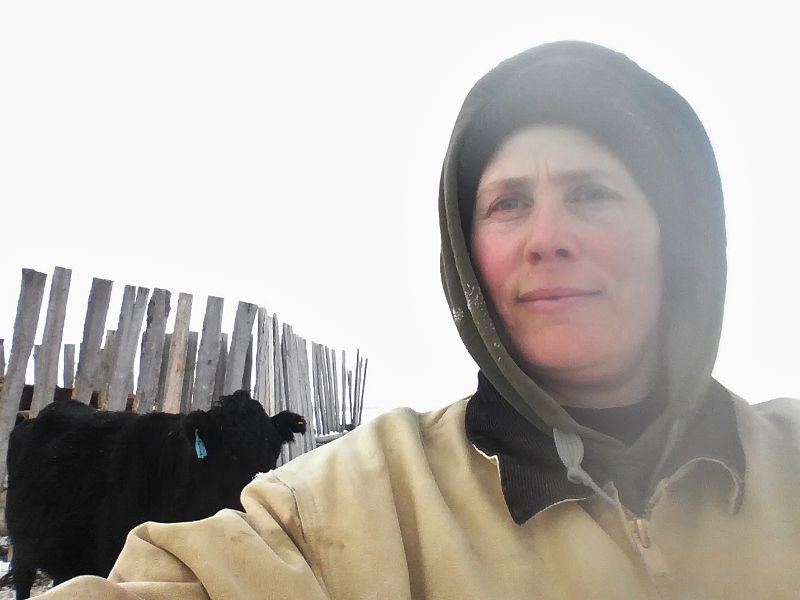 Our Calving Setup - Cattle