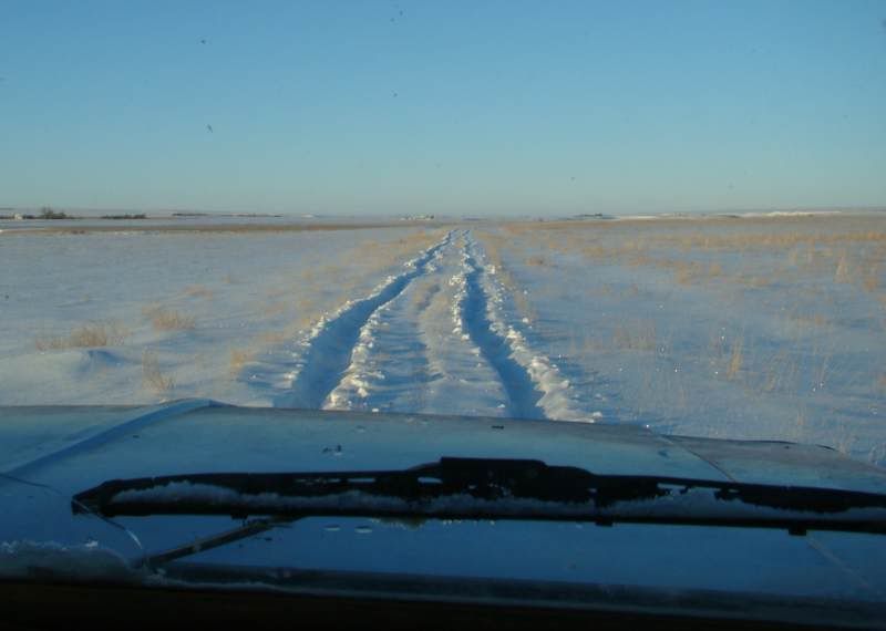 Today's Chores - Cattle