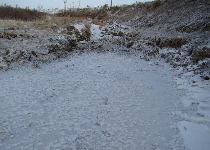 A Day in the Life - Cattle