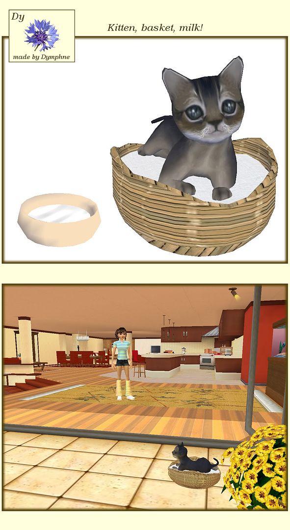 Shoppage Kitten Basket Milk