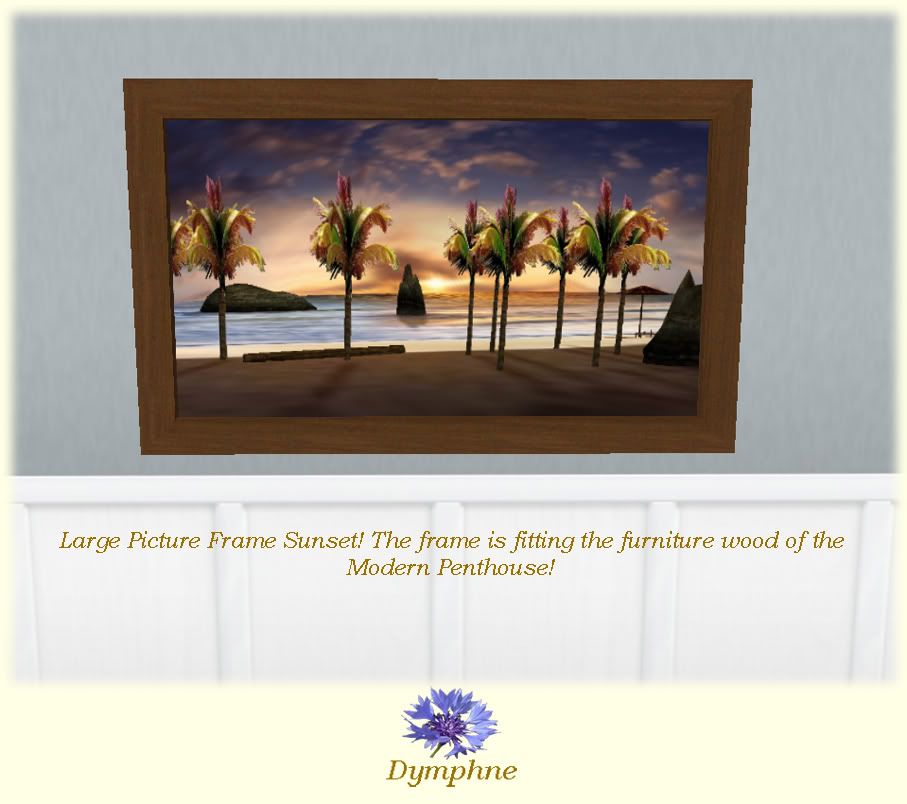 large picture frame sunset