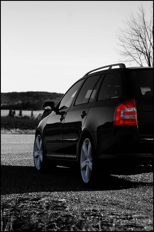 SkodaOctavia19inchesPSBW5.jpg
