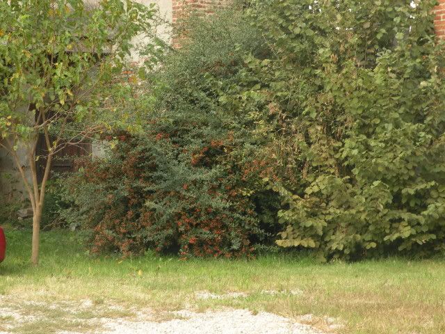 005-2.jpg