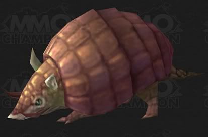 armadillo1