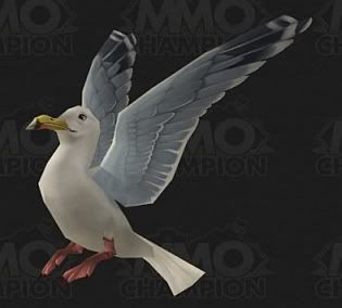 seagull1