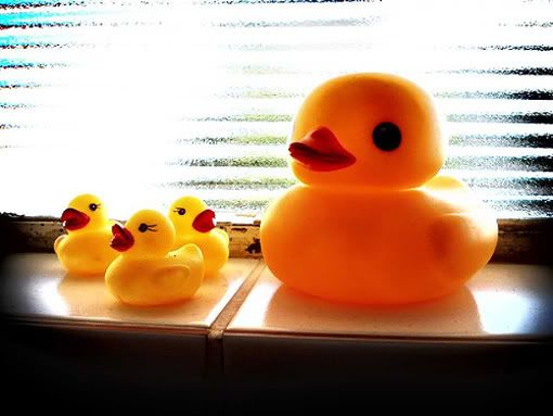 rubber_ducks