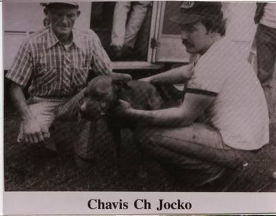 chjocko1.jpg